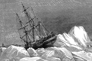 Nipped: TERROR IN THE ICE