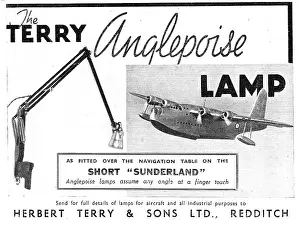 Anglepoise: Terrys Anglepoise