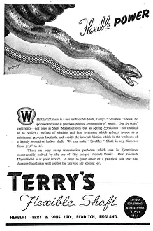 Presswork: Terrys Springs & Presswork