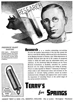 Presswork: Terrys Springs & Presswork