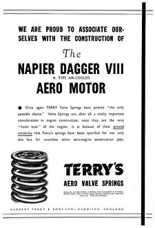 Terrys: Terrys Valve Springs