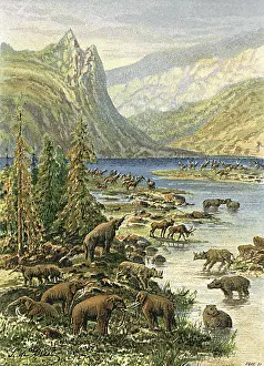 Paleocene: TERTIARY L'SCAPE
