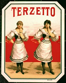 Cigars: Terzetto cigar label design