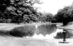 Tettenhall: Tettenhall, the Pool, Upper Green c1965