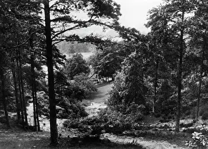 Teutoburg: The Teutoburg Forest, 1934
