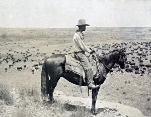 Knoll: A Texas cowboy on horseback on a knoll looking ?