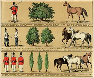 Textbook: TEXTBOOK/1880/PLATE 1