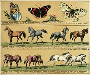 Textbook: TEXTBOOK/1880/PLATE 10