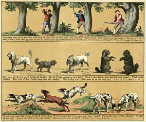 Textbook: TEXTBOOK/1880/PLATE 11