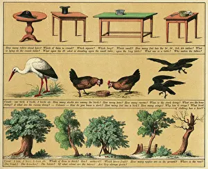 Textbook: TEXTBOOK/1880/PLATE 4