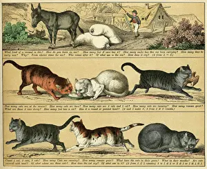 Textbook: TEXTBOOK/1880/PLATE 6