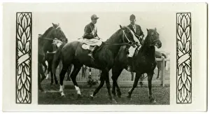 Jockeys: Textile, Australian race horse
