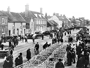 Thame: Thame Cattle Market early 1900s