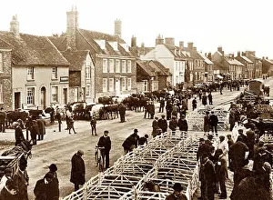 Thame: Thame cattle market, early 1900s