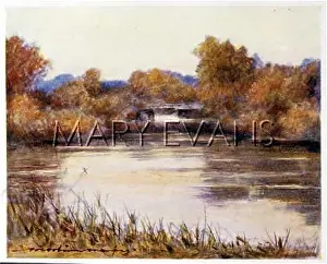 Backwater: THAMES BACKWATER