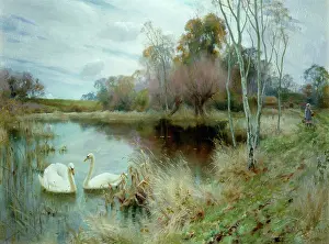Backwater: A Thames Backwater ' with two swans