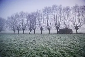 Zonnebeke: Thames Farm, - Zonnebeke