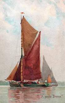 Tributary: Thames Sailing Barge