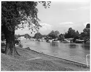 Sunbury: THAMES AT SUNBURY
