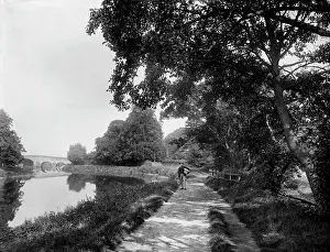Sonning: Thames towpath