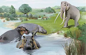 Hippopotamus: Thames Valley in the Ipswichian Interglacial