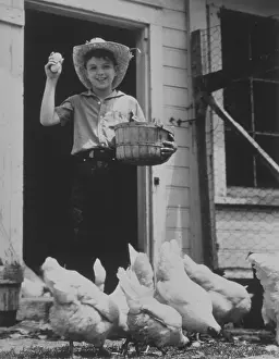 Staw: Thanks for the Eggs