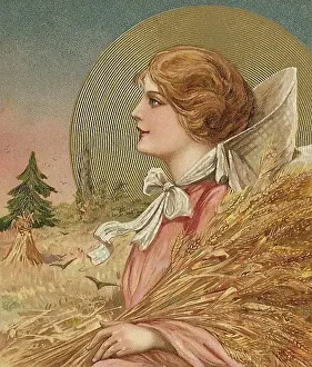 Sheaf: Thanksgiving