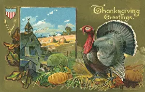 Pumpkins: Thanksgiving
