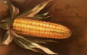 Veggie: Thanksgiving Corn