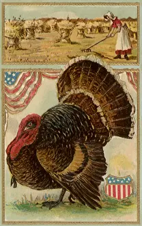 Raking: Thanksgiving Greetings
