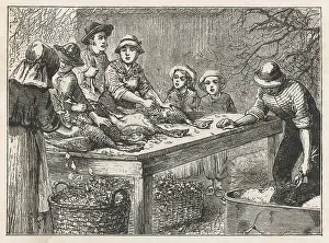 Turkeys: Thanksgiving - Prepare