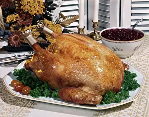 Frt001: Thanksgiving Turkey