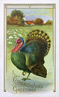 Thursday: Thanksgiving Turkey