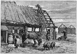 Thatch: THATCH FOR ANIMALS