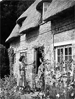 Exton: THATCHED CHAT