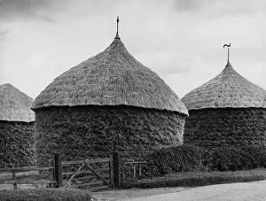 Ricks: THATCHED CORN RICKS