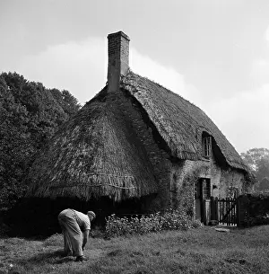 Hidcote: Thatched Cottage