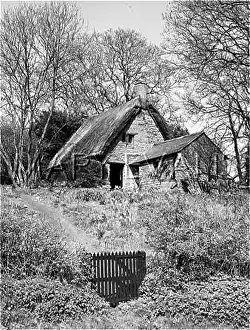 Harlestone: THATCHED COTTAGE