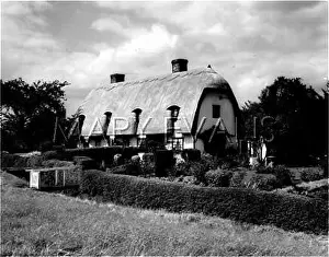 Stebbing: THATCHED COTTAGE