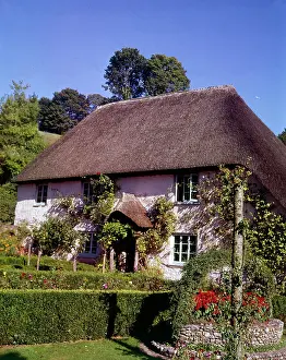 Cockington: Thatched cottage at Cockington, Devon