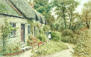 Studland: Thatched cottage at Studland, Dorset