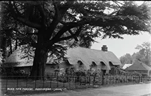 Charming: Thatched Cottage in Swan Green