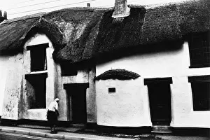 Rooves: Thatched cottages in Dawlish, Devon