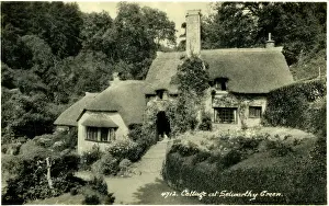 Minehead: Thatched Cottages, Selworthy, Somerset