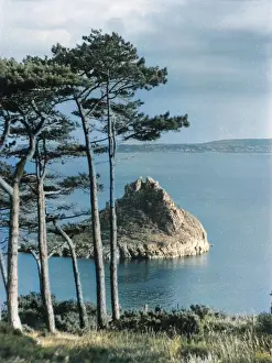 Weel: THATCHER ROCK