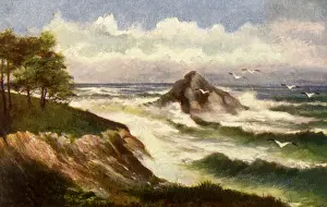Torbay: Thatcher Rock. Torquay
