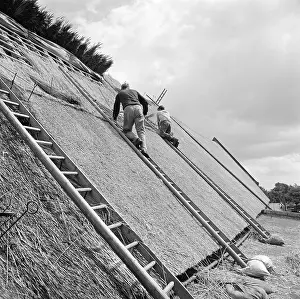 Thatchers: Thatcher Thatching