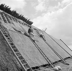 Thatching: Thatcher Thatching