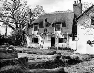Thatchers: THATCHER AT WORK