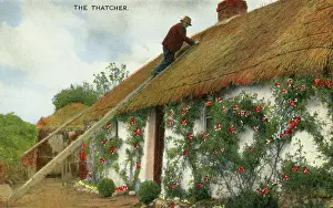 Roofing: Thatcher at work, Ireland